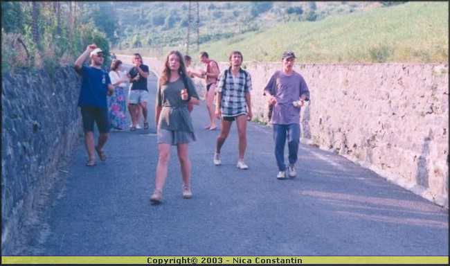 Voiose mare la Badacsony.jpg
