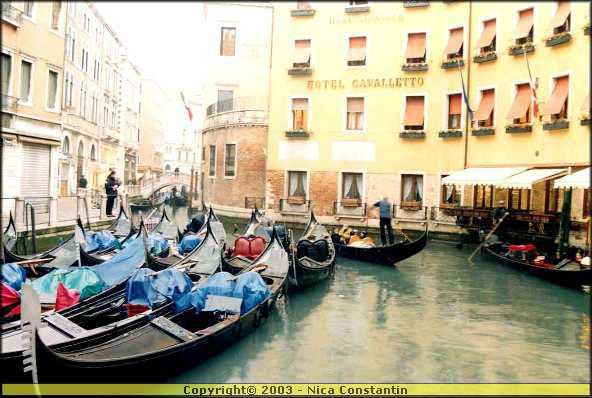 Venetia 15.jpg