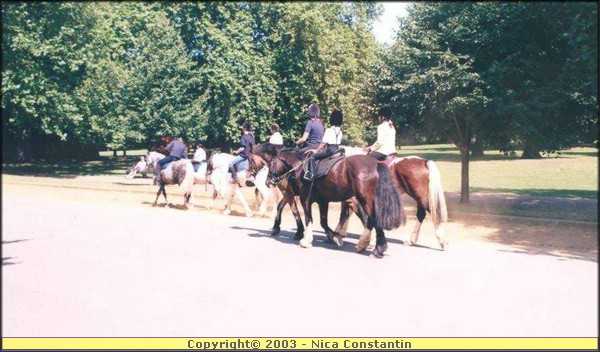 caluti hyde park.jpg