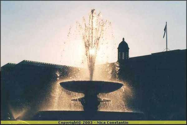 contra lumiere traf square.jpg
