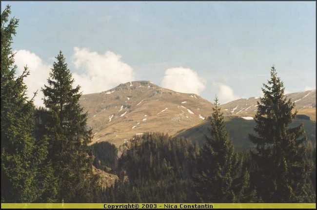Platoul Bucegi.jpg
