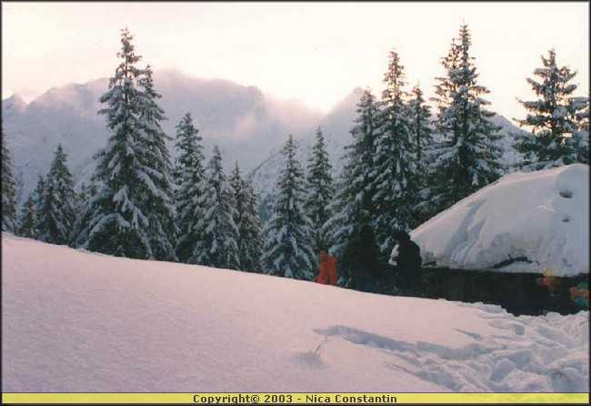Rev Zanoaga Fagaras.jpg