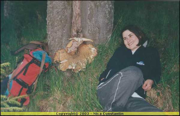 O ciuperca imensa.jpg